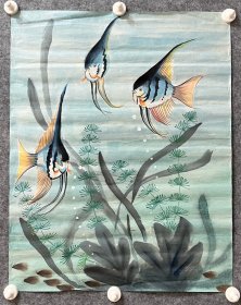 七八十年代手绘国画  热带鱼  48x59.5cm