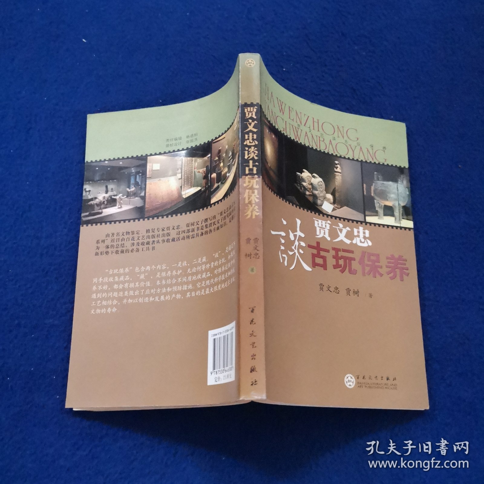 贾文忠谈古玩保养