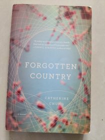 FORGOTTEN COUNTRY