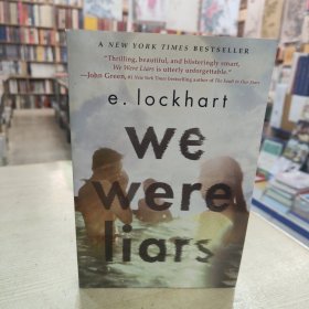 我们都是骗子 we were liars