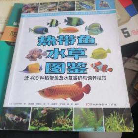 热带鱼·水草图鉴：近400种热带鱼及水草赏析与饲养技巧