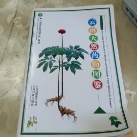 云南天然药物图鉴（第2卷）