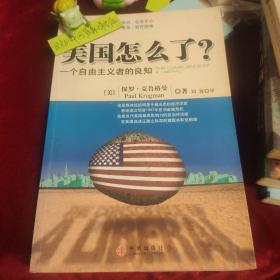 美国怎么了？：一个自由主义者的良知