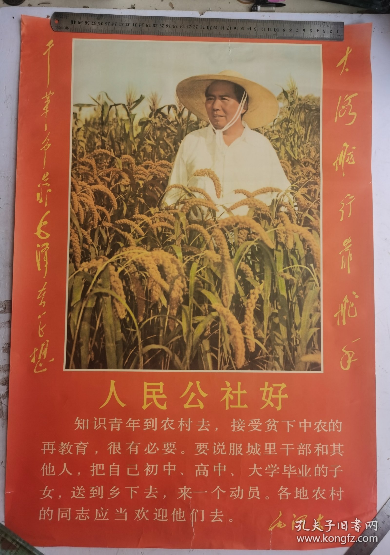 毛主席像 毛主席在谷田里视察 人民公社好，两边有题辞：大海航行靠航手 干革命靠毛泽东思想。新华社稿 上海美术出版社 1969年2月第一次印刷。尺寸：75厘米X51厘米，收藏完好！