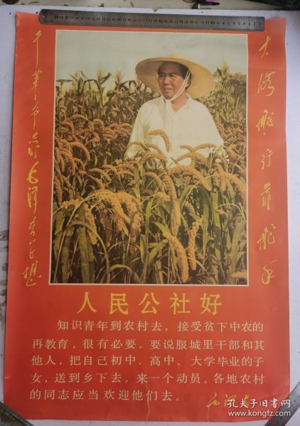 毛主席像 毛主席在谷田里视察 人民公社好，两边有题辞：大海航行靠航手 干革命靠毛泽东思想。新华社稿 上海美术出版社 1969年2月第一次印刷。尺寸：75厘米X51厘米，收藏完好！