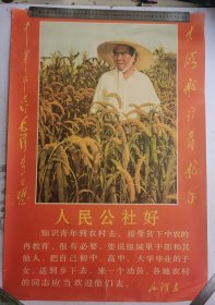 毛主席像 毛主席在谷田里视察 人民公社好，两边有题辞：大海航行靠航手 干革命靠毛泽东思想。新华社稿 上海美术出版社 1969年2月第一次印刷。尺寸：75厘米X51厘米，收藏完好！