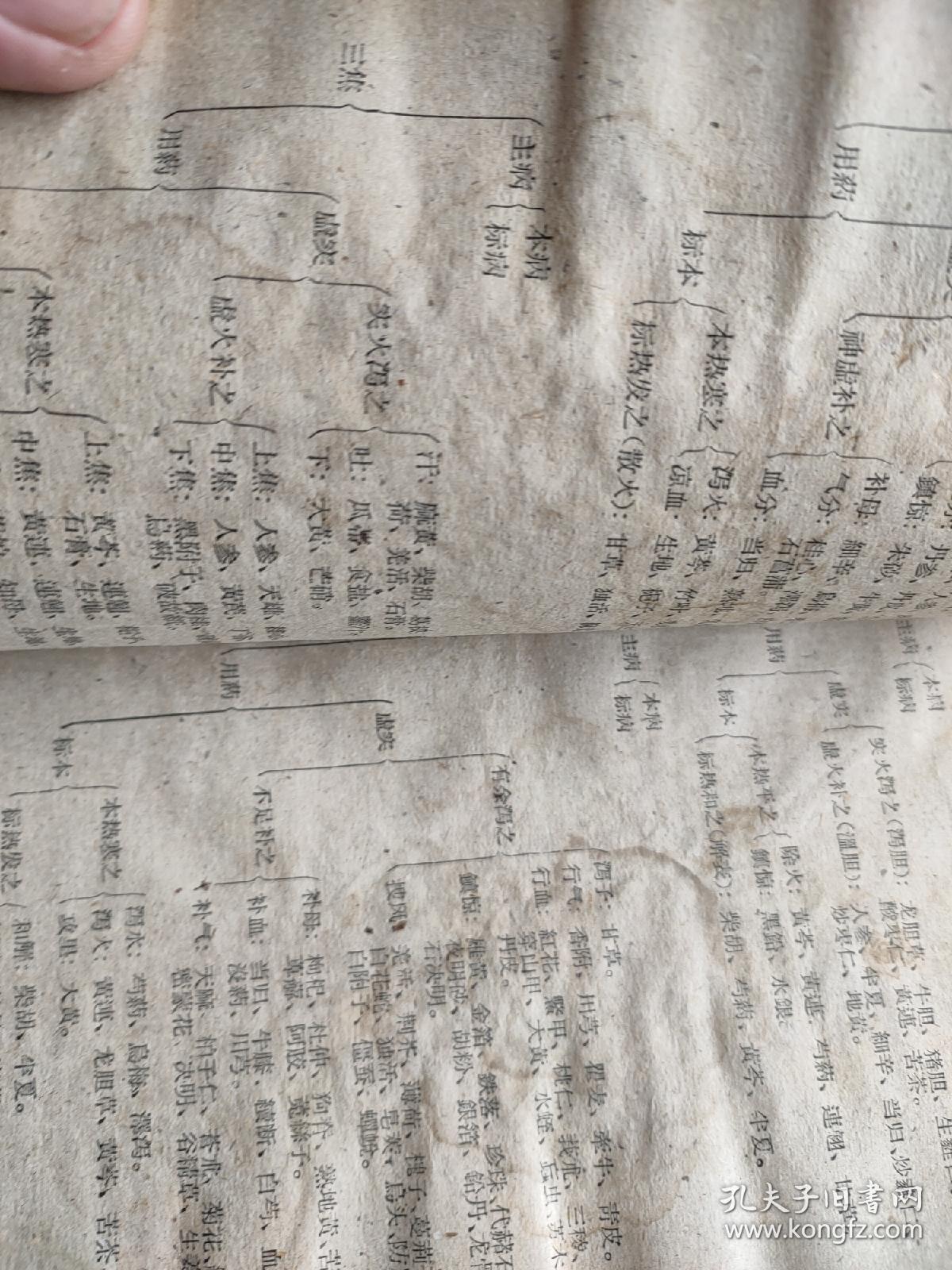 中医各家学说及医案选讲义