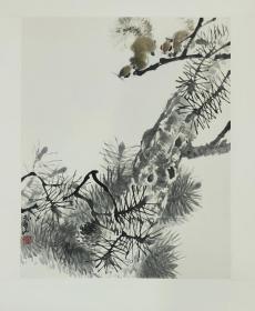 【杜振华】陕西著名实力派画家，康师尧入室弟子，西安中国画院画家、西安美协理事、陕西花鸟画理事，西安电子科技大学研究生院导师，作品曾入展第九届全国美展（优秀奖）、中国国家画院第一届作品展、全国第一届工笔画大展