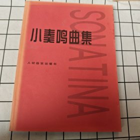 小奏鸣曲集