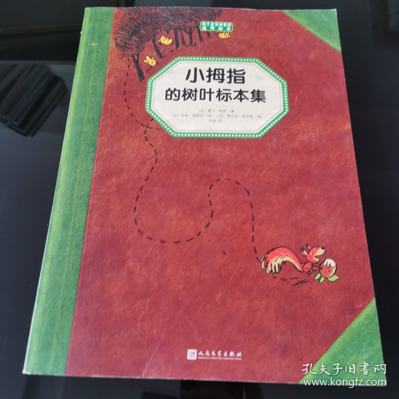 小拇指的树叶标本集（孩子应该知道的植物标本）