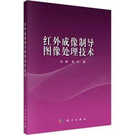 红外成像制导图像处理技术