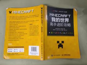 MINECRAFT我的世界 高手进阶攻略