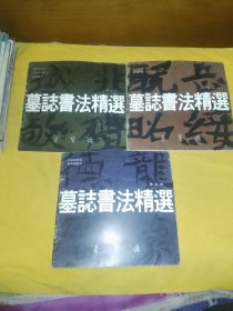 墓志书法精选：第三册.鞠彦云墓志.显祖成嫔墓志.奚智墓志+第四册.元彬墓志.元绪墓志+第五册.吐谷浑墓志.姜敬亲墓志（3本合售）