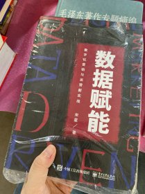 数据赋能：数字化营销与运营新实战(博文视点出品)