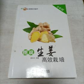 图说生姜高效栽培