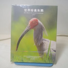 DVD:世界珍禽朱鹮 专题片 碟片一张