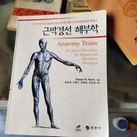 解剖学:韩文
