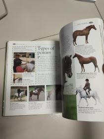 the kingfisher illustrated house & pony encyclopedia【大16开硬精装英文原版彩印】