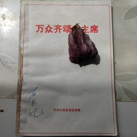 万众齐颂华主席