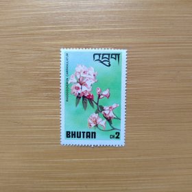 外国邮票 不丹邮票植物花卉漂亮花朵 新票1枚 如图