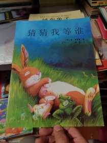 猜猜我等谁 平装