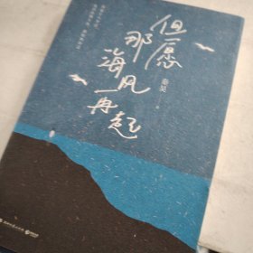 但愿那海风再起