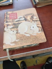 生肖日历：2023玉兔跃春