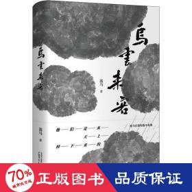 乌云来客 中国现当代文学 流马