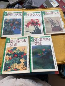 清心九书：1、活出豪气来、4.悟·看出希望来、5.觉·教导的知慧、7.禅悟与实现、8.禅语空人心、五册合售