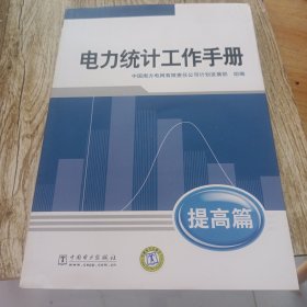 电力统计工作手册. 提高篇