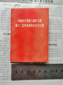 中国共产党第八届扩大的第十二次中央委员会全会公报