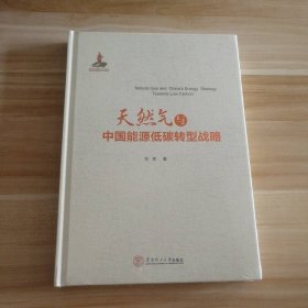 塑封新书 天然气与中国能源低碳转型战略 9787562345206