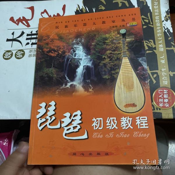 民族乐器大教室丛书：琵琶初级教程