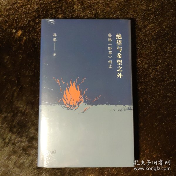 绝望与希望之外：鲁迅《野草》细读