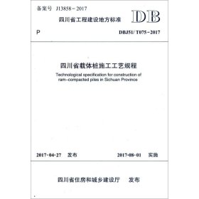 四川省载体桩施工工艺规程