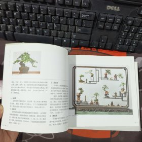 图解微型盆景设计、制作与养护（一版一印）