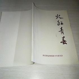 火红青春 福建铁路共青团二十年1973-1993