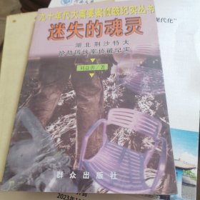 迷失的魂灵--湖北荆沙特大抢劫团伙案侦破纪实