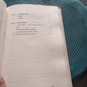 文化是什么（精装）