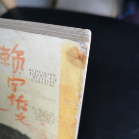 赖宁作文日记选