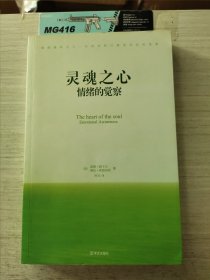 灵魂之心：情绪的觉察