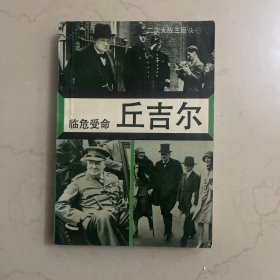 临危受命丘吉尔