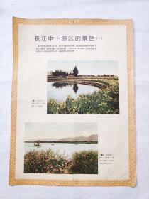 50年代教育挂图：长江中下游区的景色（一）（二）、长江、（38乘52厘米）3张