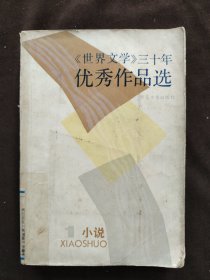 世界文学30年优秀作品选 1