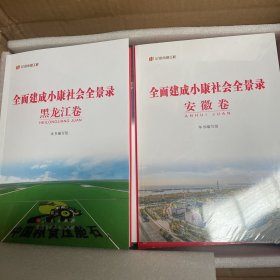 记录小康工程 全面建成小康社会全景录