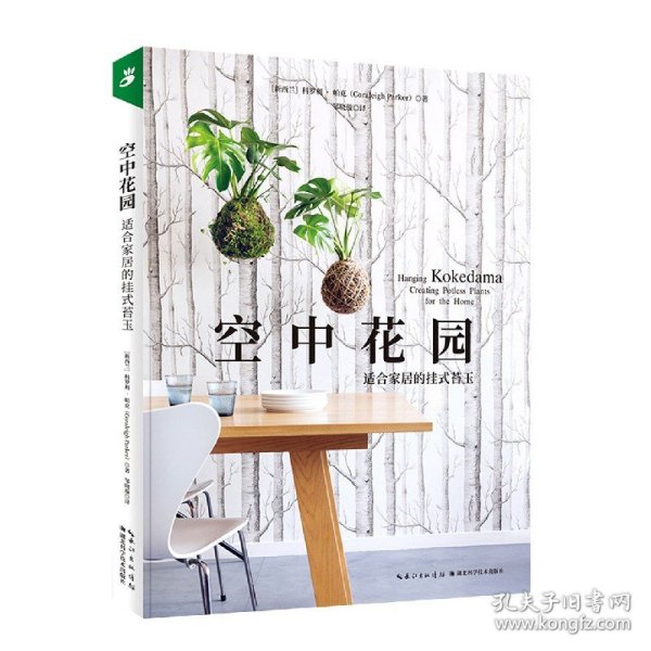 空中花园：适合家居的挂式苔玉