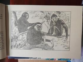 中国保护动物图谱(世界语版)