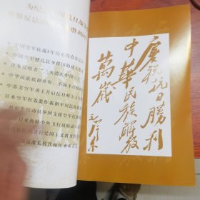 中苏美空军 抗日空战纪实