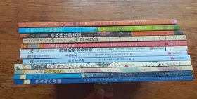 好马亨伯特 丑狗辛普 苏菲的愤怒选择轮 小黄帽和大灰狼 大卫上学去 杰瑞的冷静太空 木木与朋友和好了 小白找朋友 害羞的小裁缝 鲸鱼来了 小黄鸭奇遇记 魔法勺子 (精装绘本12册合售)