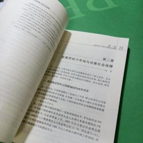 中国社会政策：特点与经验